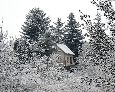 Skrytá
