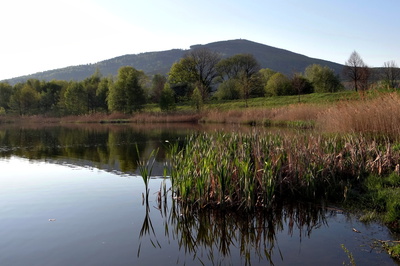 Pod Biskupskou kupou
