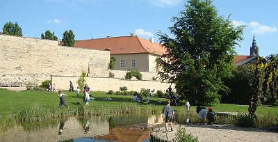 Nostalgická vzpomínka na léto *