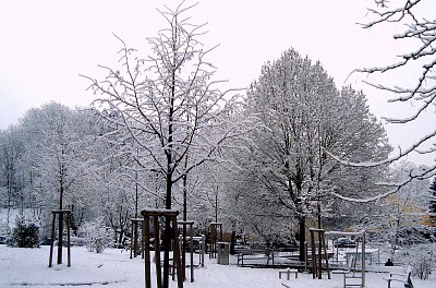 Přišla zima - a bohužel, rychle zase odešla.