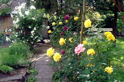 Na zahradě u klubové kolegyně