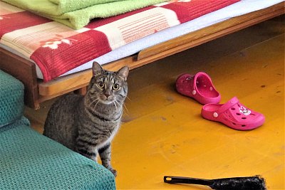 Já že mám uklízet?