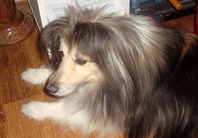 Moje malá babička Britney