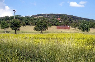 Litoměřické předměstí