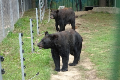 Zoo Tábor