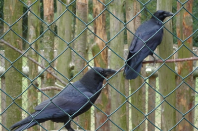 Zoo Tábor