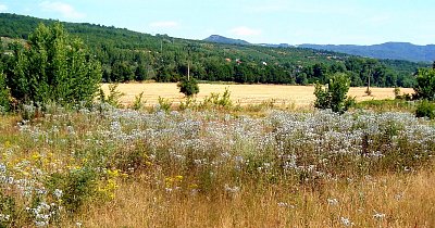 Středohorská krajina 1