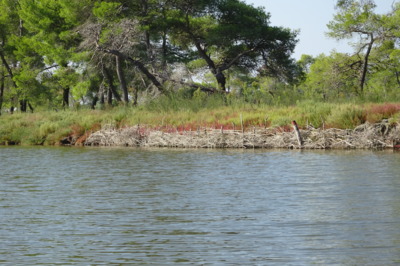 Albánie - národní park