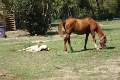 Albánie - národní park