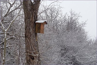 Zateplená asi není...