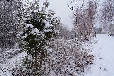 Zasněžená cestička