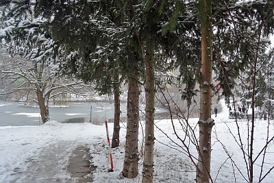 Snad už se mráz nevrátí?