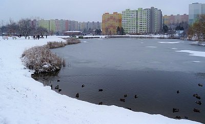 Mrazivý den na sídlišti