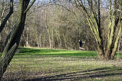 Běh mrazivým parkem