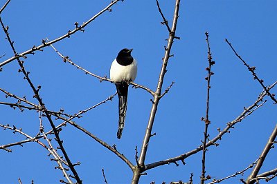 Výhled je tu dobrý