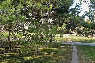 Předjarní slunný den