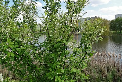 Procházka kolem vody