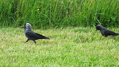 Mami, já ti nestačím! *