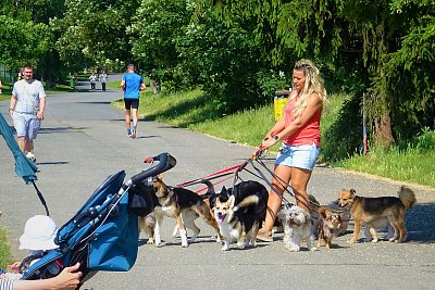 U nás v parku po ránu