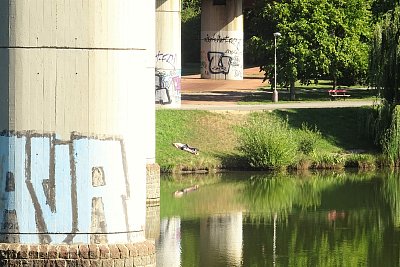 Opalovačka v Central parku