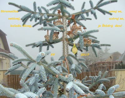 Stromečku, vstávej...