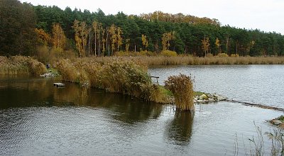 Podzim v zátoce jezera