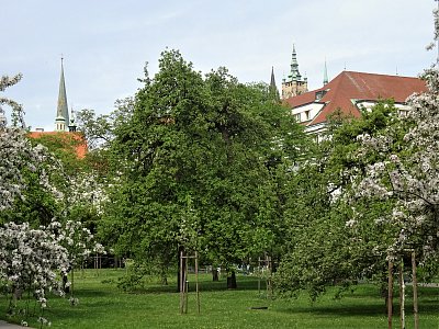 Ve Vrtbovské zahradě