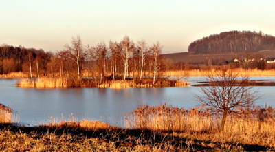 Leden ve zlatě