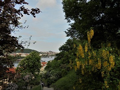 Z rozkvetlého Vyšehradu