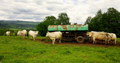 Žízeň