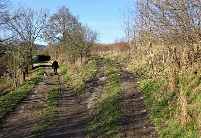 Na předjarní procházce