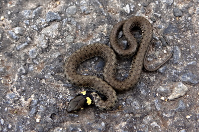 Setkání, které nemusím...