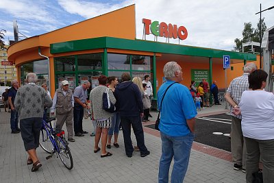 Terno Týn