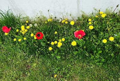 Barevné potěšení