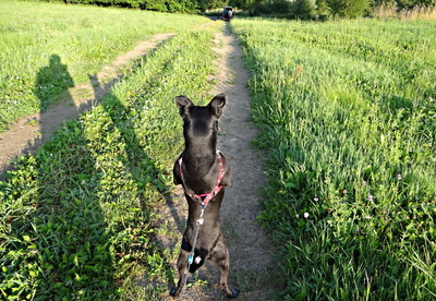 Co se to tam ... děje?