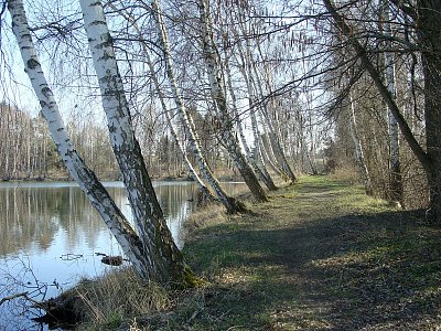 Břízy nad Pateřinkou