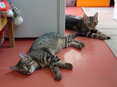 Babeta a Walda před třemi roky