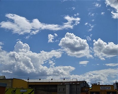 Červencové odpoledne