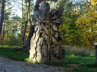 Duch lesa od Bosamba*