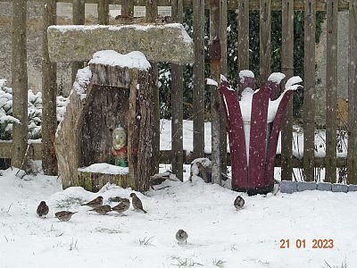 Frmol i pod krmítkem