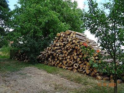 Až se zima zeptá, ....