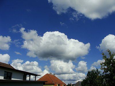 Duchňáky, kam se podívám