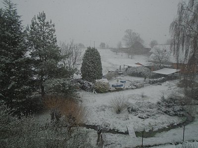 dnešní sněhové ráno