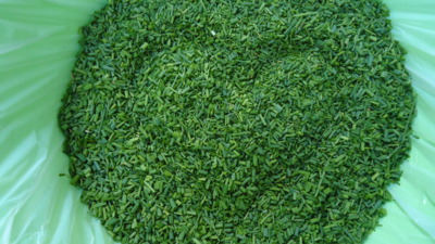 až se zima zeptá...sekala jsem pažitku....