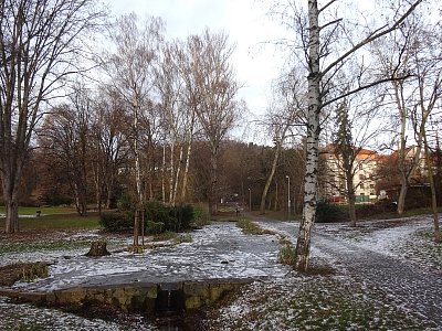 Zamrzlý potůček