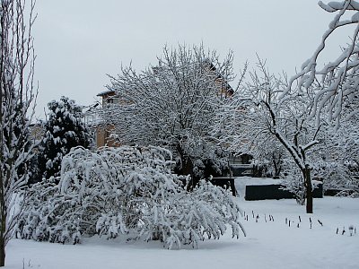 Pod prvním sněhem