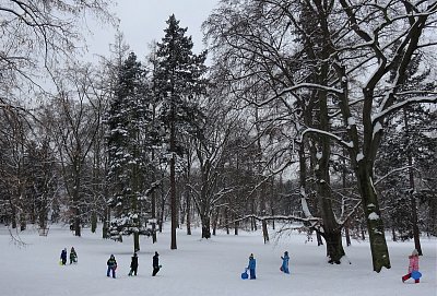 Když byl ve Stromovce sníh