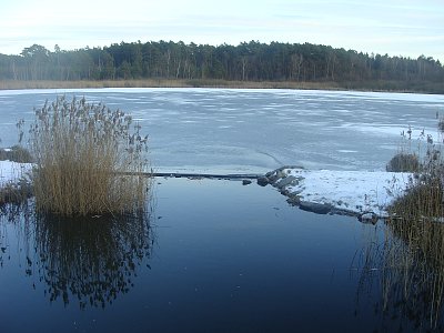 Zamrzlá zátoka jezera