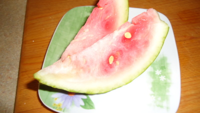 náš melounek ..praskl po dešti,ale sladkej byl..