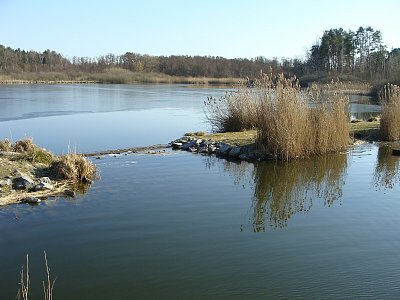 Máchovo jezero*